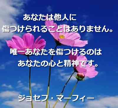 眠れない夜の心の薬
