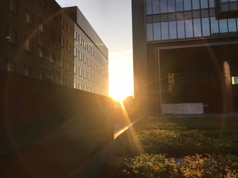 f:id:santambo:20171102074232j:plain