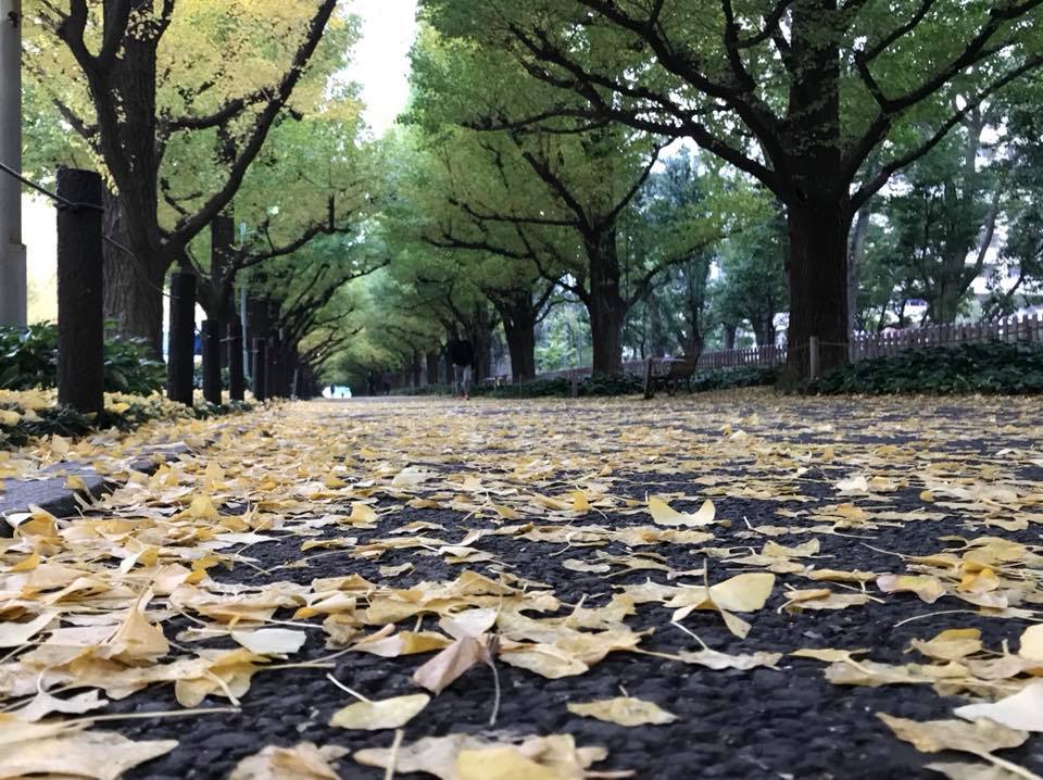 f:id:santambo:20171104080417j:plain