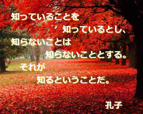 固定観念と先入観を捨てよう