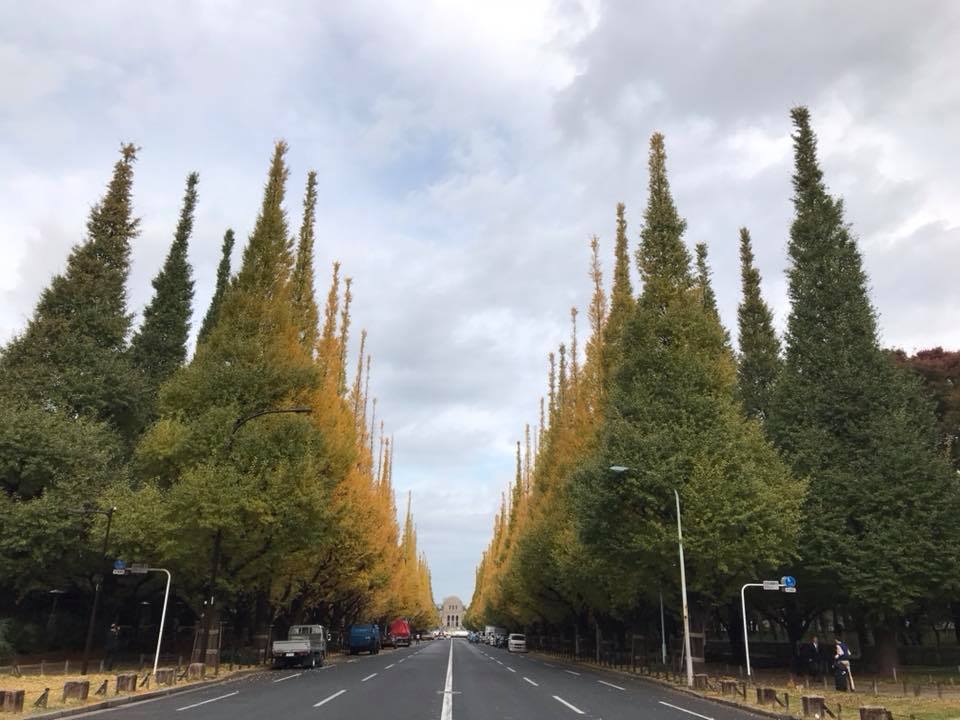 f:id:santambo:20171115075907j:plain