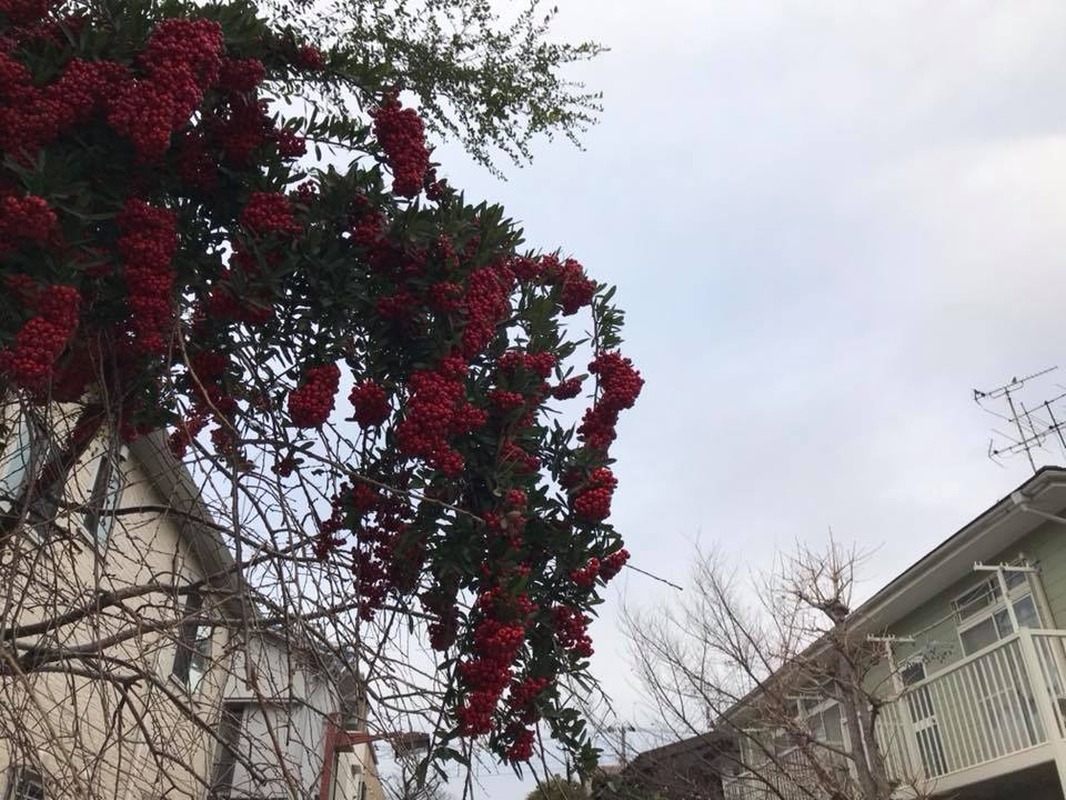 f:id:santambo:20180108075805j:plain