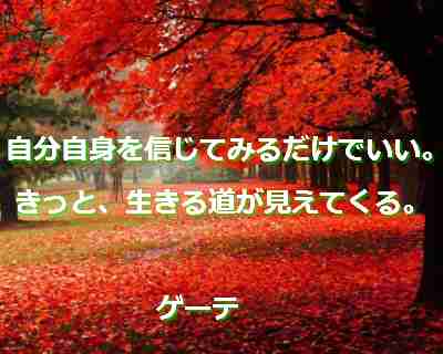 f:id:santambo:20180219091503j:plain