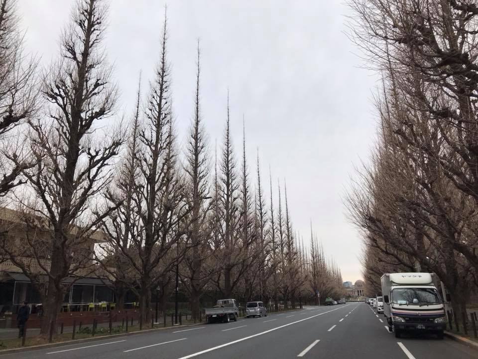 f:id:santambo:20180221080013j:plain