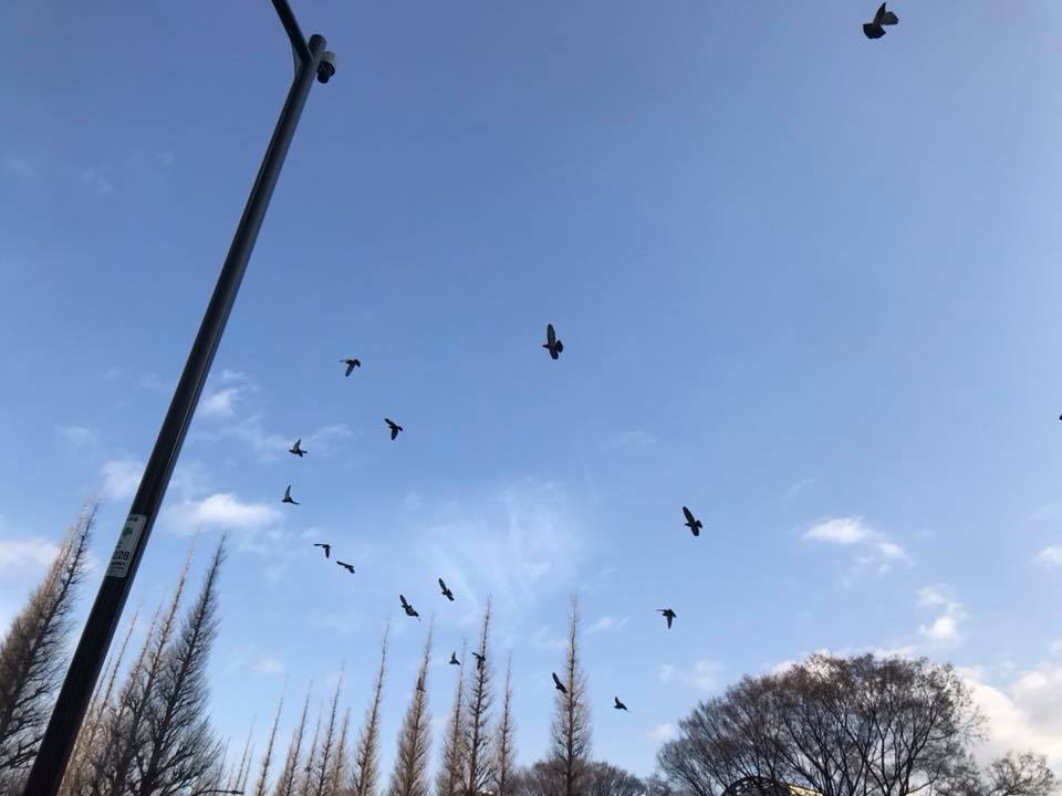 f:id:santambo:20180318075500j:plain
