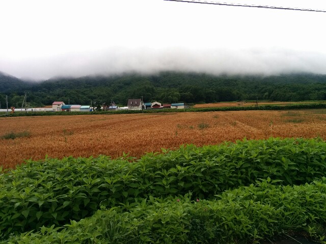 f:id:santarou98:20170801010306j:image