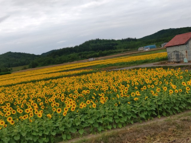 f:id:santarou98:20190723163446j:image f:id:santarou98:20190723163446j:image