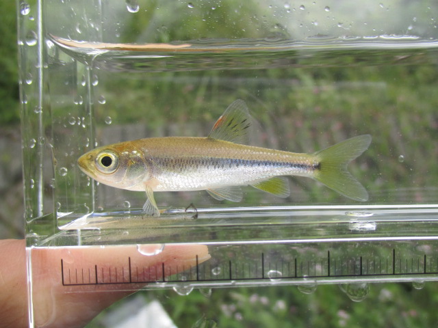 f:id:santekigon:20191009203143j:plain