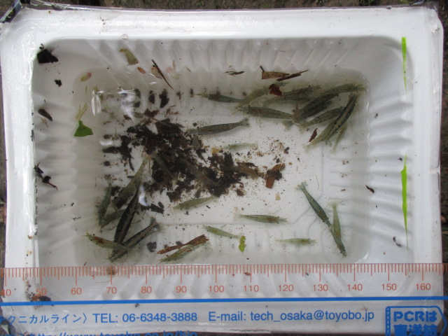 f:id:santekigon:20191009203238j:plain