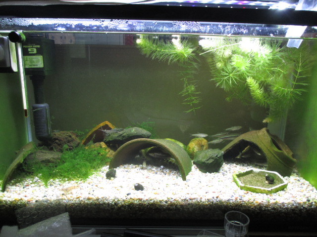 f:id:santekigon:20191009203332j:plain