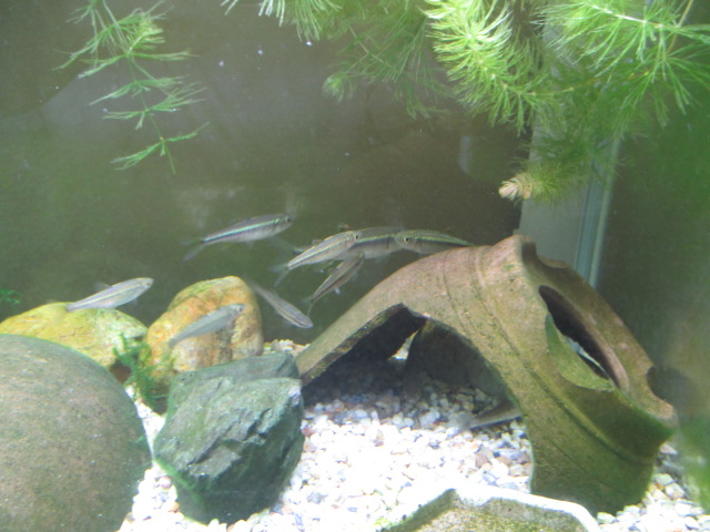 f:id:santekigon:20191009203344j:plain