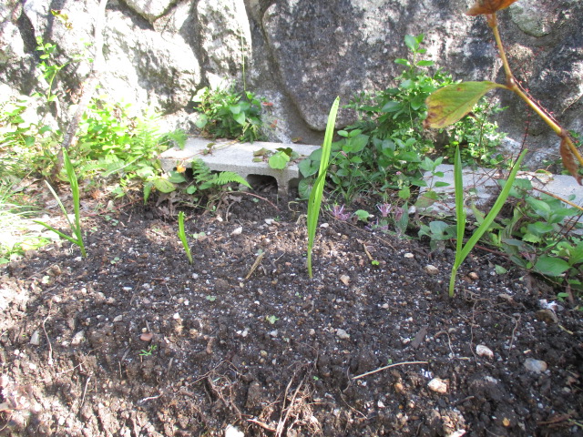 f:id:santekigon:20191102142927j:plain