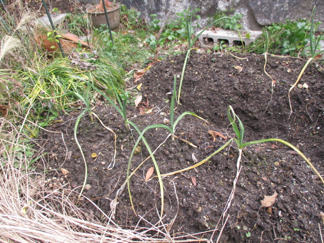 f:id:santekigon:20200117143113j:plain f:id:santekigon:20200117143113j:plain