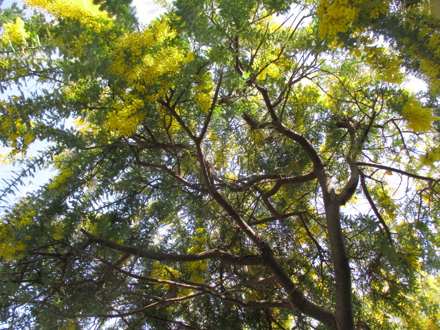 f:id:santekigon:20200319161923j:plain