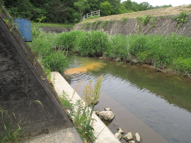 f:id:santekigon:20200515204022j:plain f:id:santekigon:20200515204022j:plain