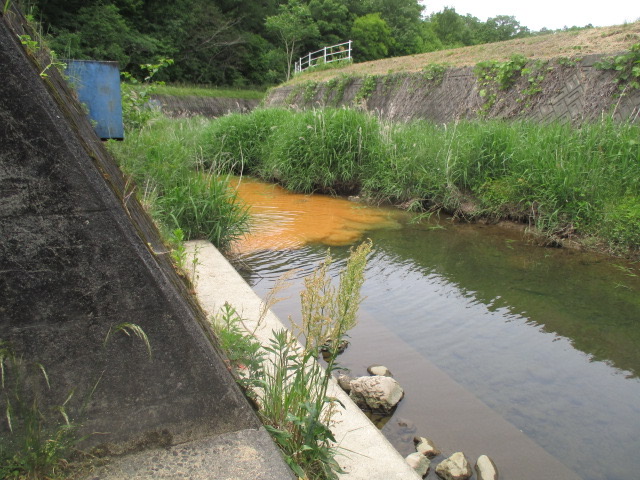 f:id:santekigon:20200515204031j:plain f:id:santekigon:20200515204031j:plain