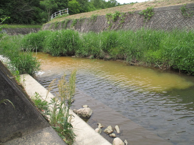 f:id:santekigon:20200515204043j:plain f:id:santekigon:20200515204043j:plain