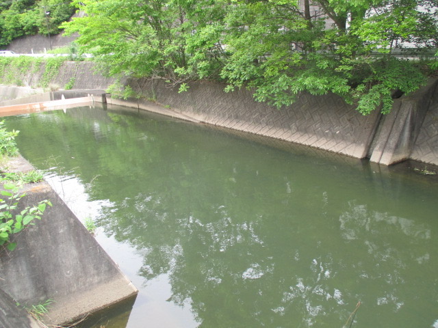 f:id:santekigon:20200515204108j:plain f:id:santekigon:20200515204108j:plain