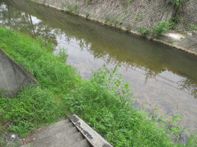 f:id:santekigon:20200515204137j:plain f:id:santekigon:20200515204137j:plain