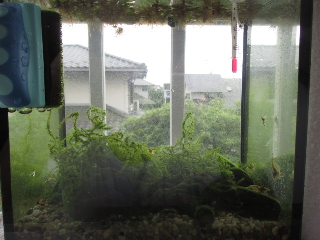 f:id:santekigon:20200918170509j:plain f:id:santekigon:20200918170509j:plain