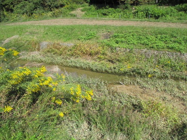 f:id:santekigon:20201016190359j:plain f:id:santekigon:20201016190359j:plain