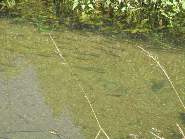 f:id:santekigon:20201016190410j:plain f:id:santekigon:20201016190410j:plain