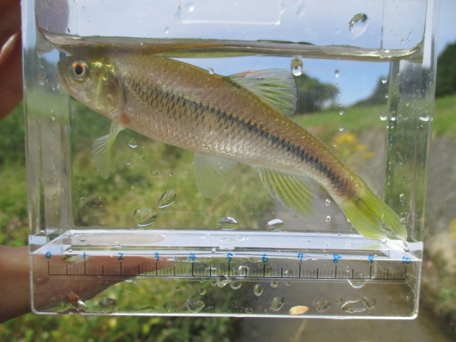 f:id:santekigon:20201016190430j:plain f:id:santekigon:20201016190430j:plain