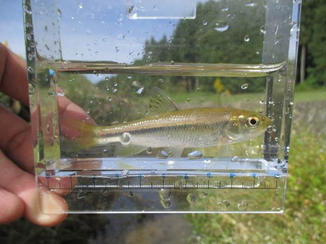 f:id:santekigon:20201016190440j:plain f:id:santekigon:20201016190440j:plain