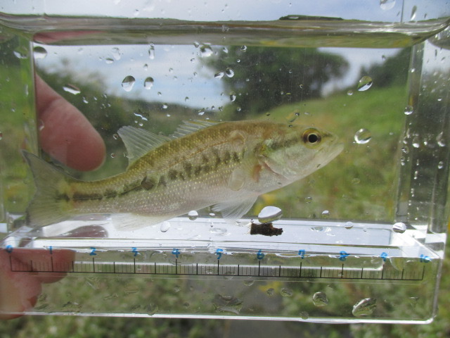 f:id:santekigon:20201016190526j:plain f:id:santekigon:20201016190526j:plain