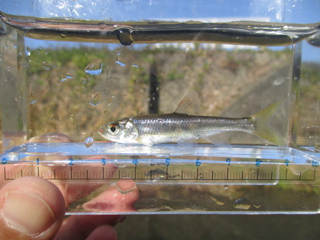 f:id:santekigon:20201201180915j:plain