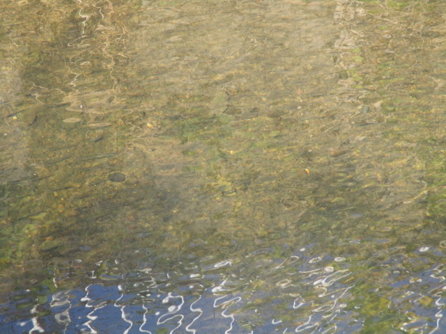 f:id:santekigon:20201201181018j:plain