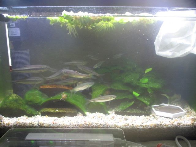 f:id:santekigon:20201218171716j:plain