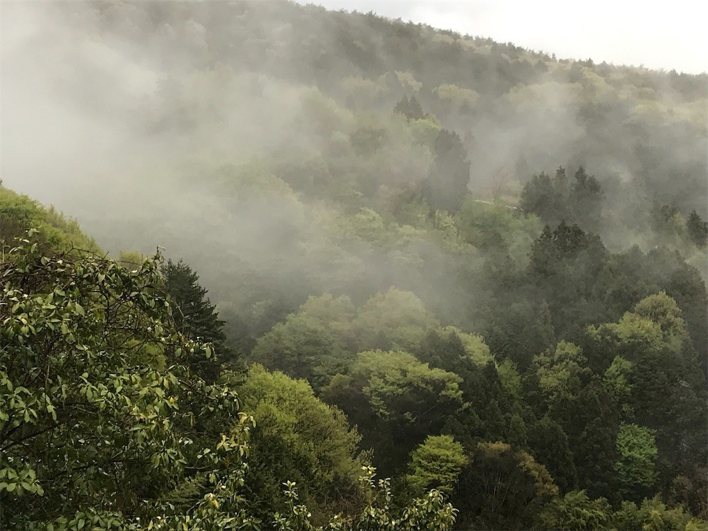 f:id:santoh1000nin:20190505234502j:image