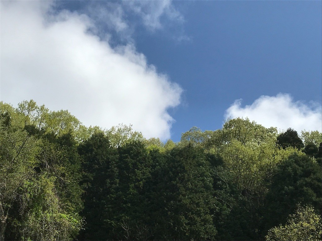 f:id:santoh1000nin:20190505234742j:image