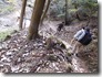 DSCN1190