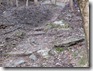 DSCN1192