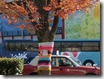 20201203sz (50)