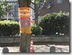 20201203sz (52)