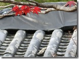20201203sz (8)