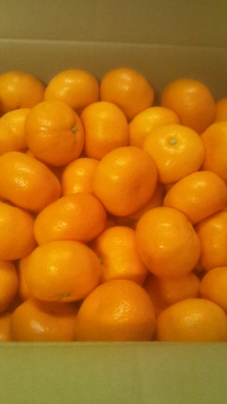 f:id:santousai:20140208162355j:plain