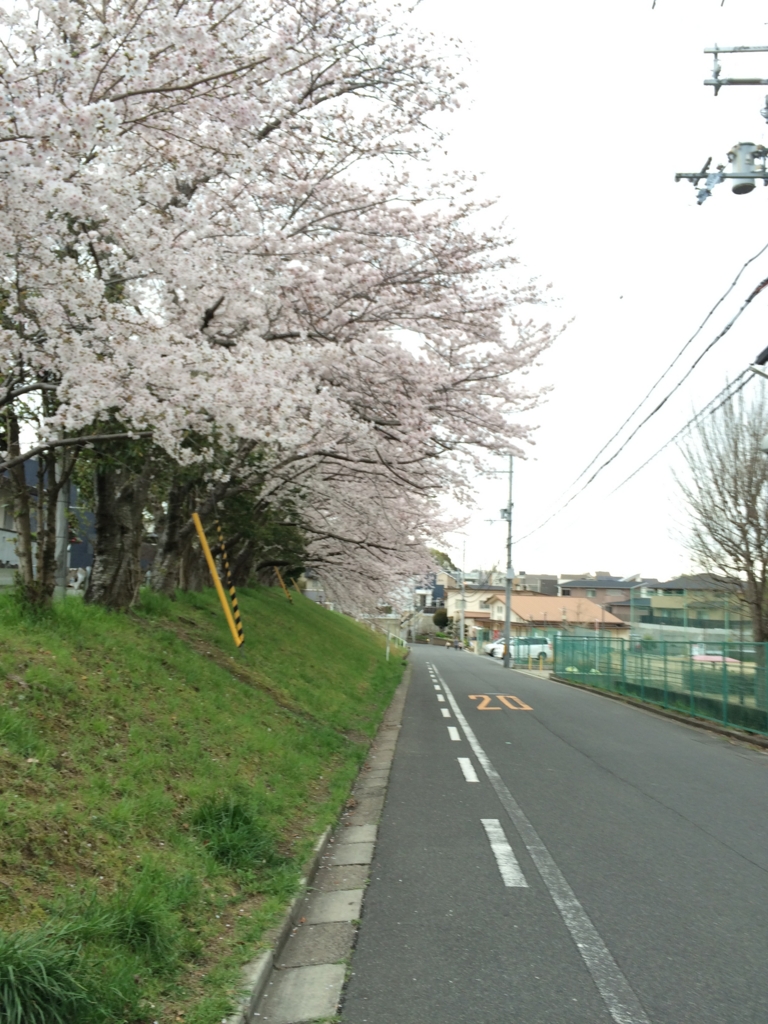 f:id:sanukichi22:20160415230811j:plain f:id:sanukichi22:20160415230811j:plain