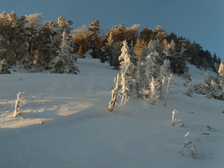 f:id:sanukimichiru:20091226161925j:image