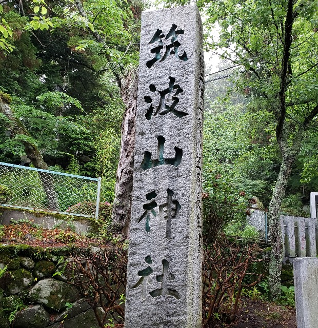 f:id:sanumafudou:20190608214034j:image f:id:sanumafudou:20190608214034j:image