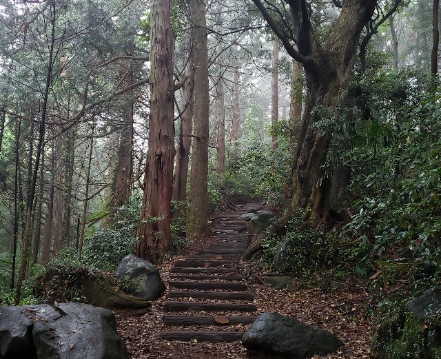 f:id:sanumafudou:20190608214148j:image f:id:sanumafudou:20190608214148j:image