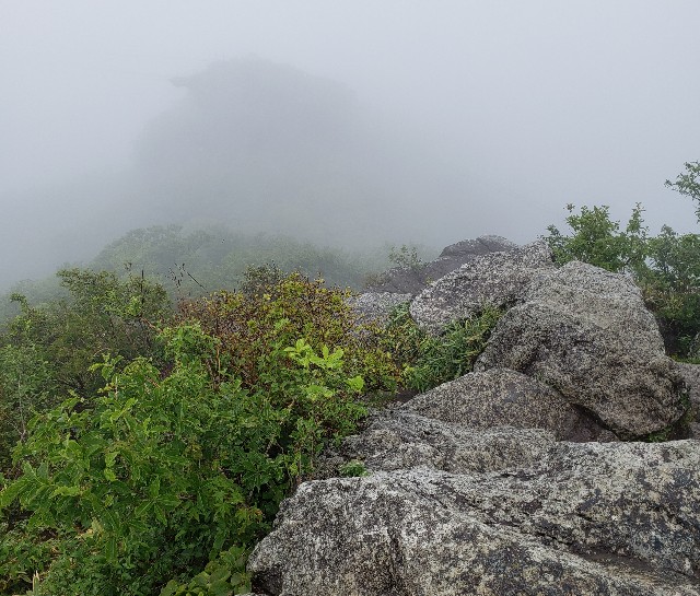 f:id:sanumafudou:20190608215027j:image f:id:sanumafudou:20190608215027j:image