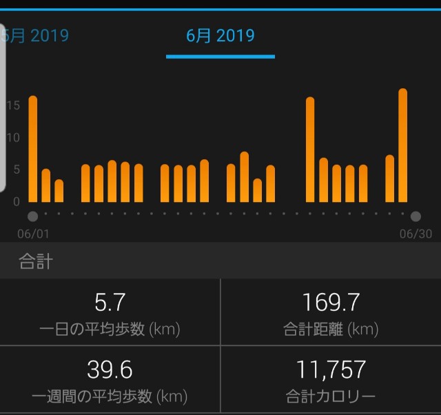 f:id:sanumafudou:20190630231429j:image f:id:sanumafudou:20190630231429j:image