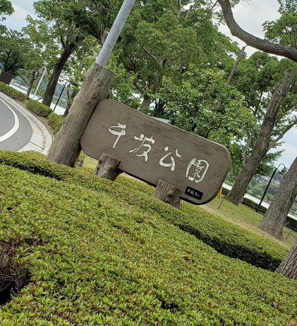f:id:sanumafudou:20190713200631j:image