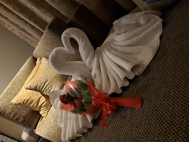 f:id:sanumafudou:20190721180136j:image f:id:sanumafudou:20190721180136j:image