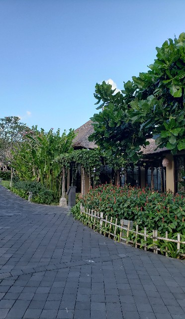 f:id:sanumafudou:20190722213455j:image