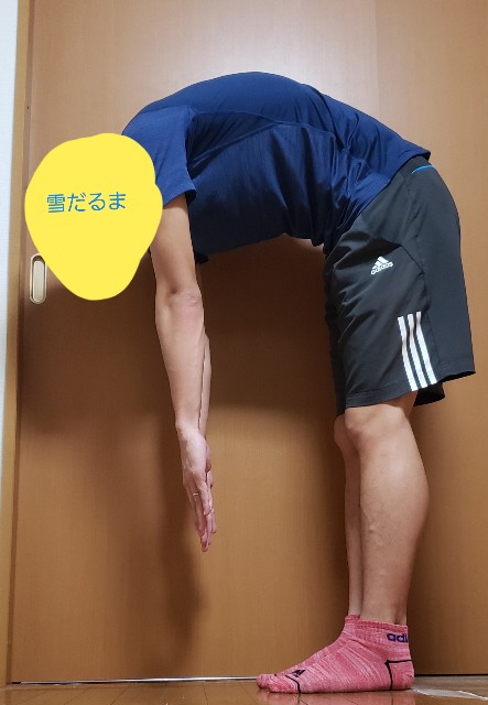 f:id:sanumafudou:20190727202313j:image f:id:sanumafudou:20190727202313j:image